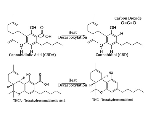 DecarboxylationB