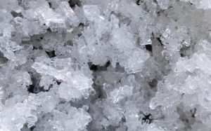 杂草石油提取器