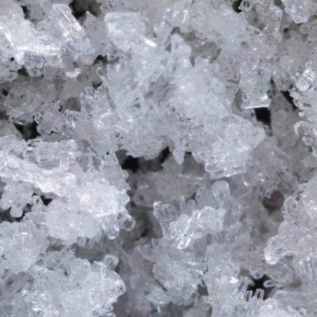 杂草石油提取器