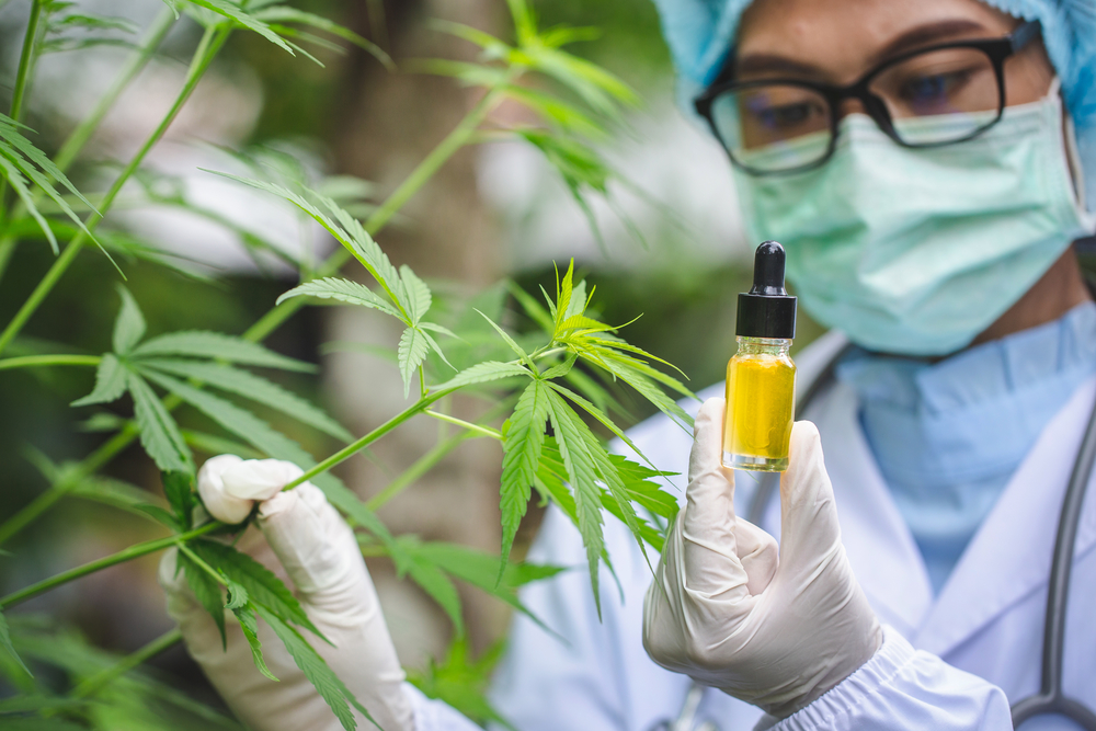 CBD提取：在购买设备之前先考虑一下